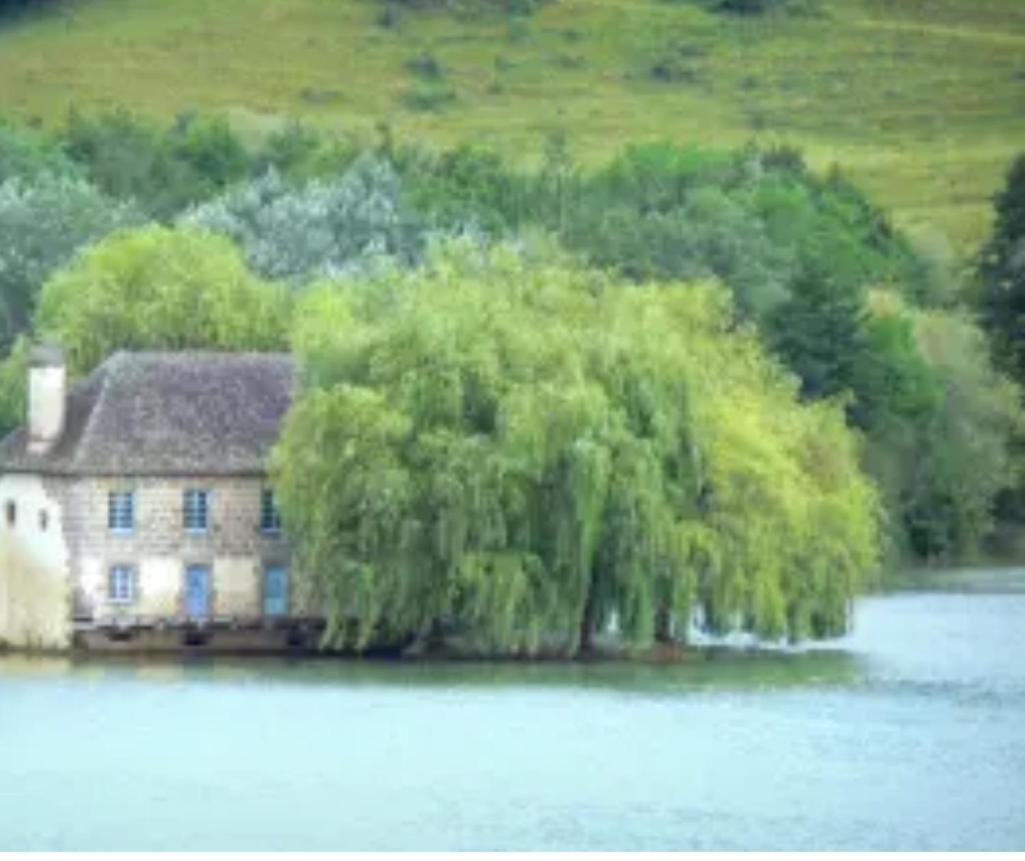 En Toute Quietude Lissac-sur-Couze エクステリア 写真