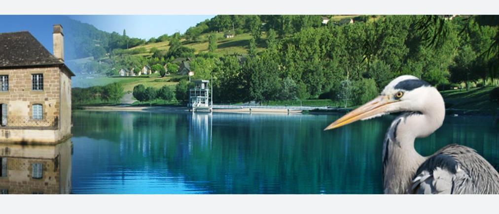 En Toute Quietude Lissac-sur-Couze エクステリア 写真